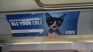 Cox-Interior-Bus-Card